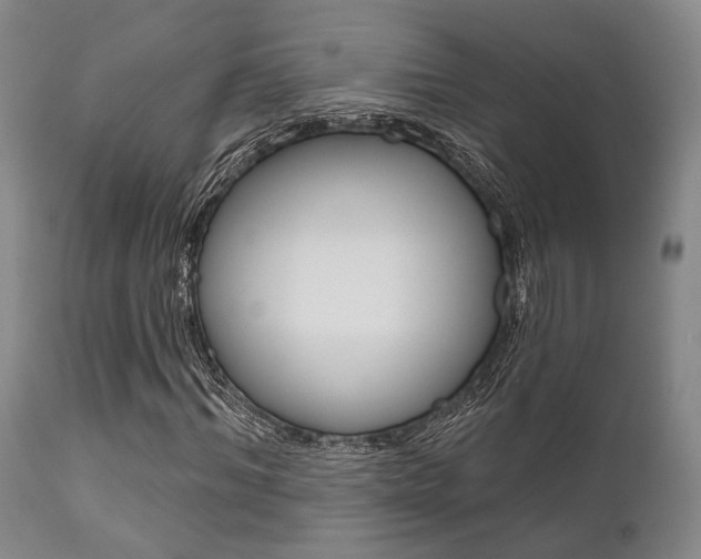 X0000111620964200907171101