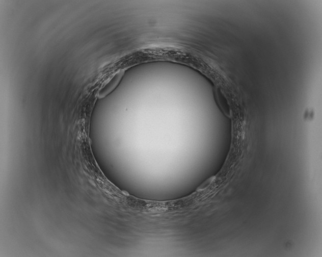 X0000111620965200907171101