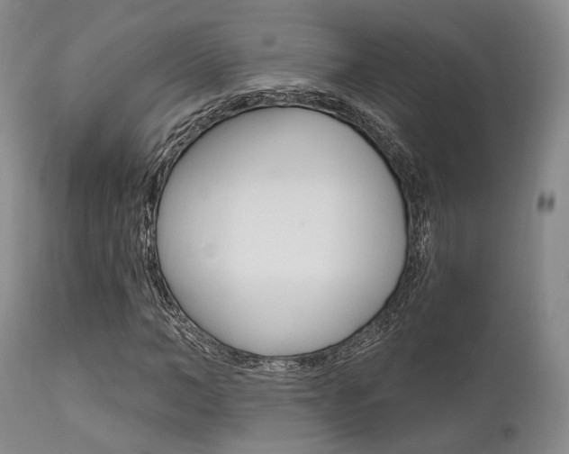 X0000111620966200907171101