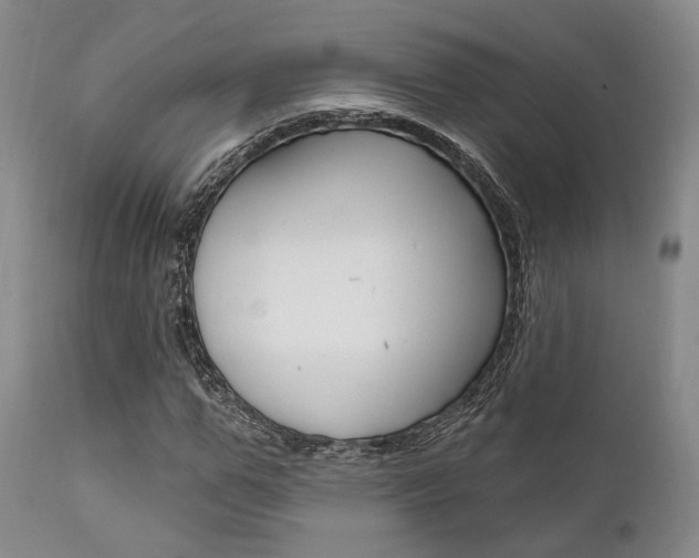 X0000111620967200907171101