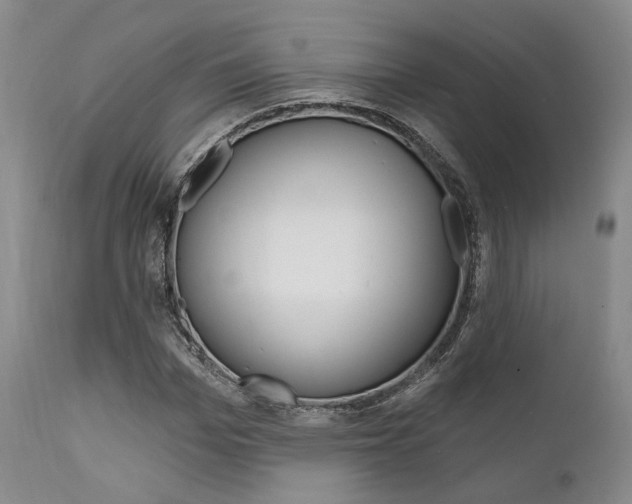 X0000111620969200907171101