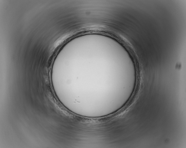 X0000111620970200907171101