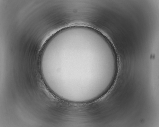 X0000111620973200907171101