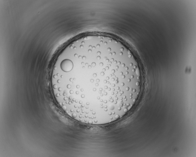 X0000111620974200907171101