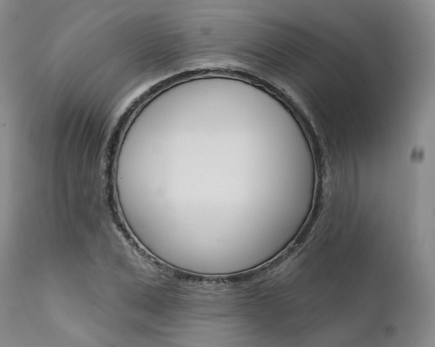 X0000111620975200907171101