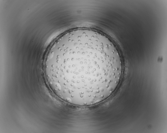X0000111620978200907171100