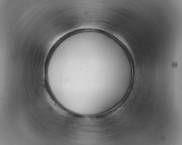 X0000111620980200907171100