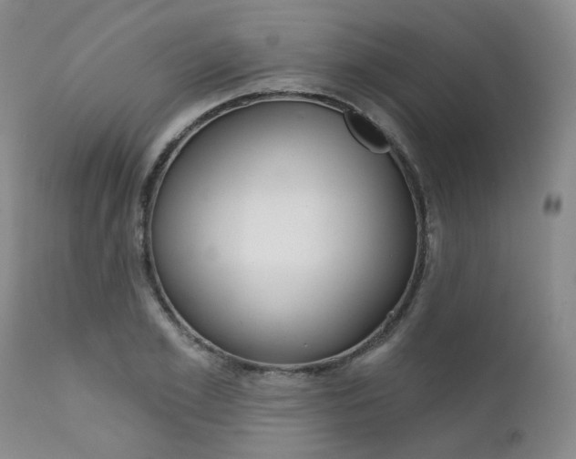 X0000111620981200907171100