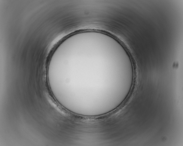 X0000111620982200907171100