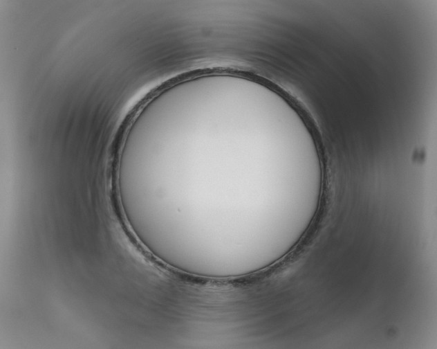 X0000111620983200907171100