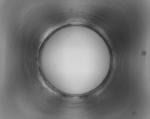 X0000111620986200907171100