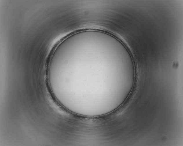 X0000111620987200907171100