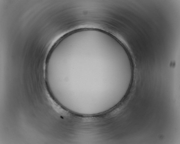 X0000111620988200907171100