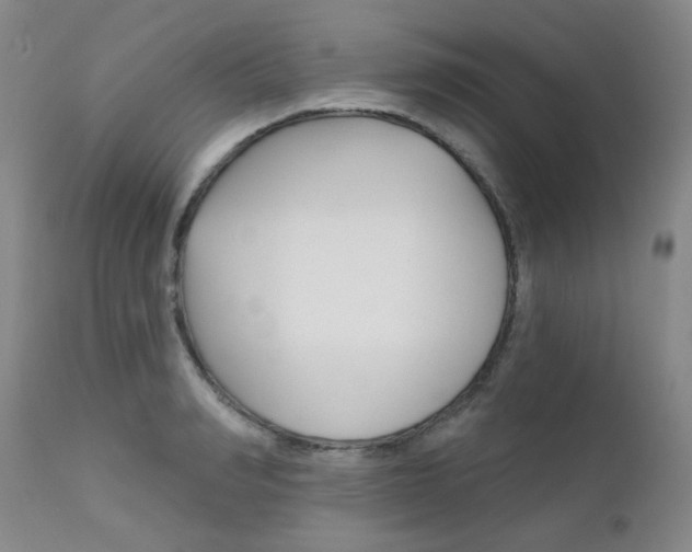 X0000111620990200907171100