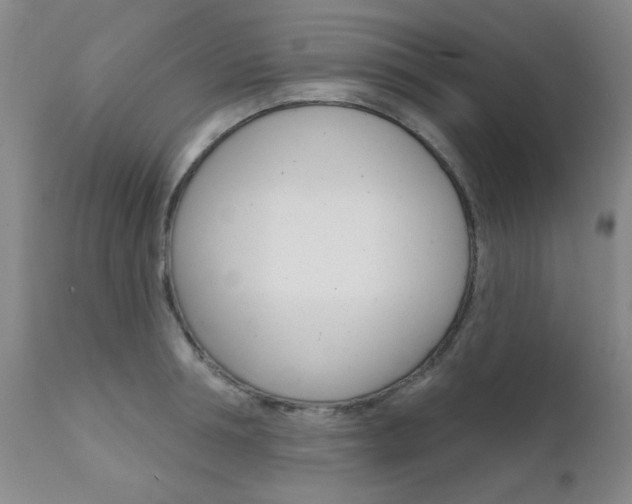 X0000111620994200907171100