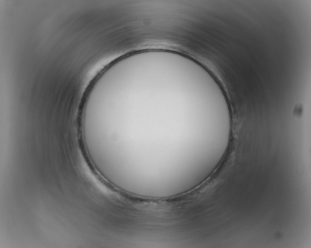 X0000111620995200907171100