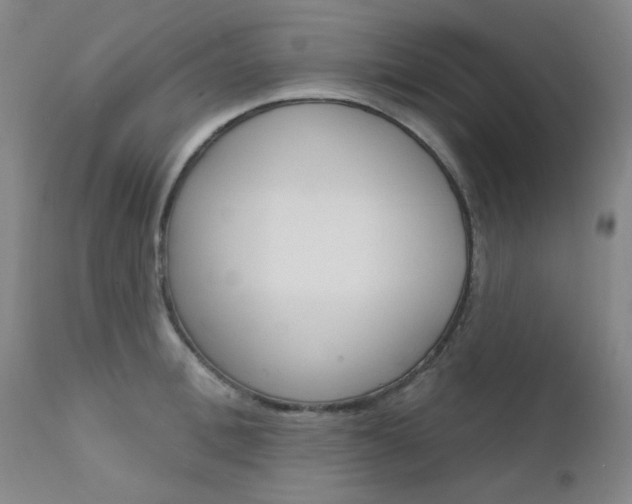 X0000111620996200907171100