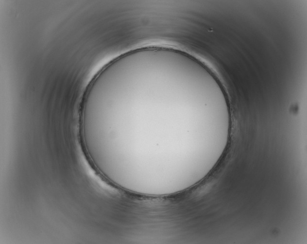 X0000111620999200907171100