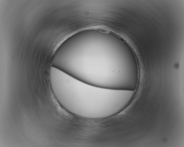 X0000111621001200907171100