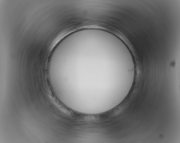 X0000111621002200907171100