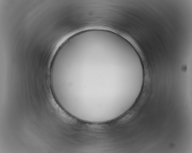 X0000111621004200907171100