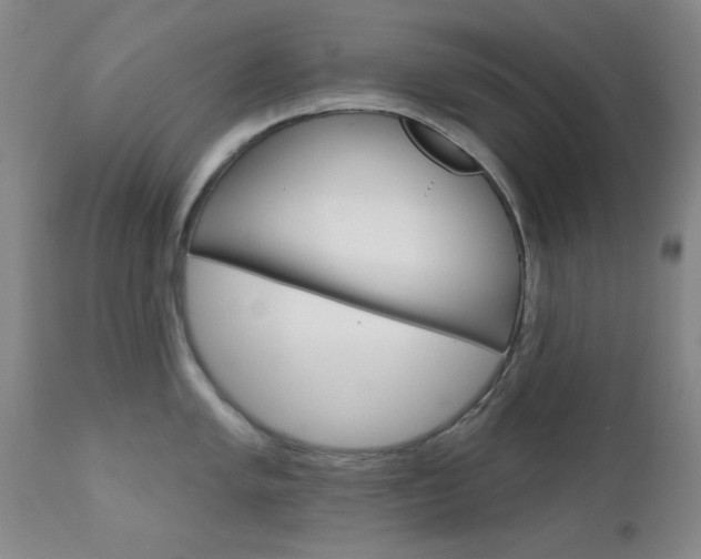 X0000111621005200907171100