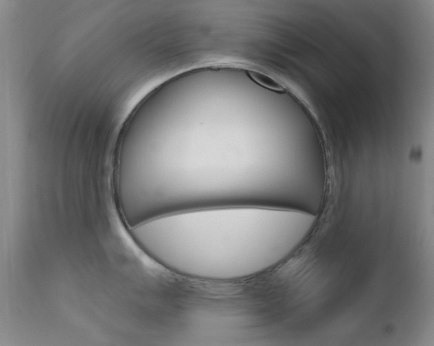 X0000111621007200907171100