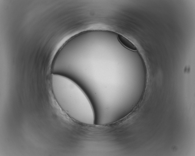 X0000111621008200907171100
