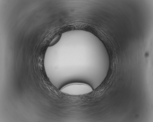 X0000111621010200907171059