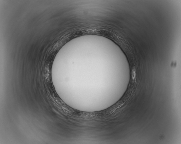 X0000111621011200907171059