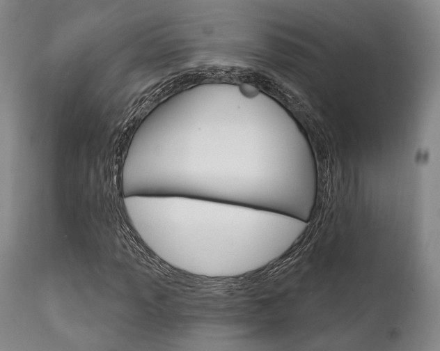 X0000111621013200907171059