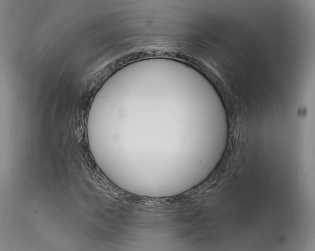 X0000111621015200907171059
