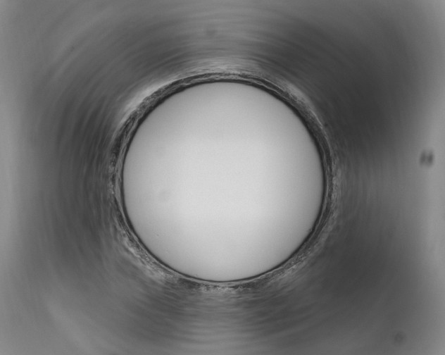 X0000111621019200907171059