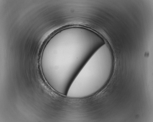 X0000111621020200907171059