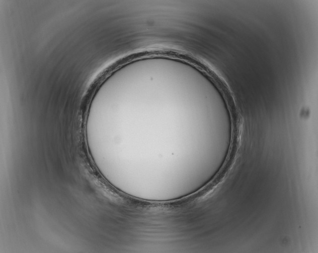 X0000111621021200907171059