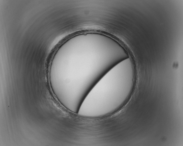 X0000111621022200907171059