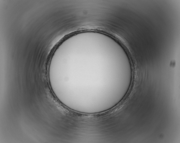 X0000111621023200907171059