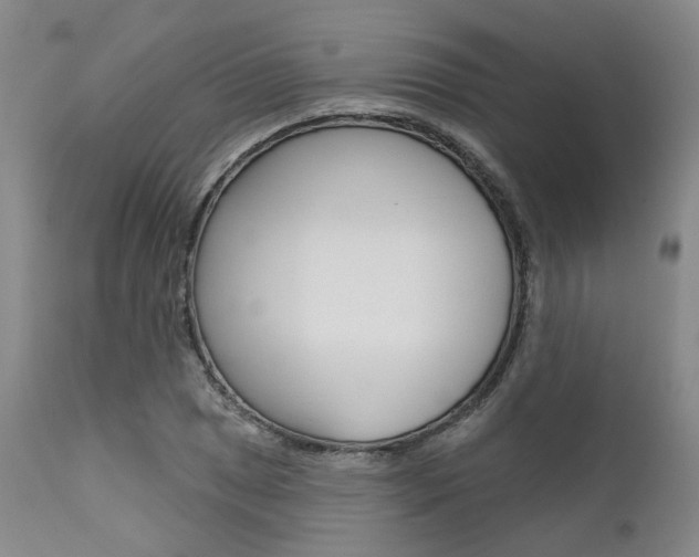 X0000111621025200907171059