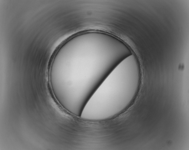 X0000111621028200907171059