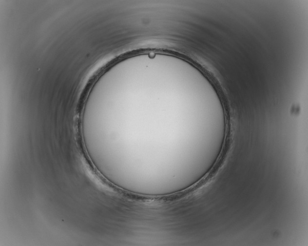 X0000111621029200907171059