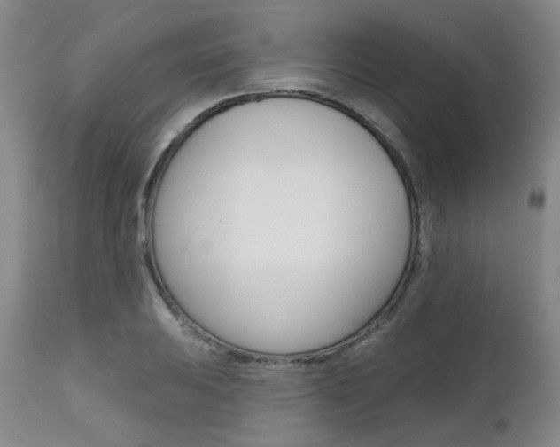 X0000111621031200907171059