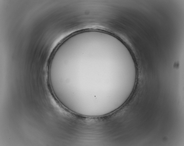 X0000111621032200907171059
