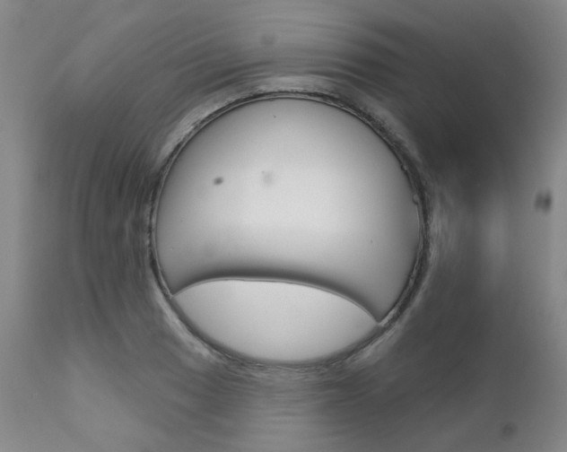 X0000111621033200907171059