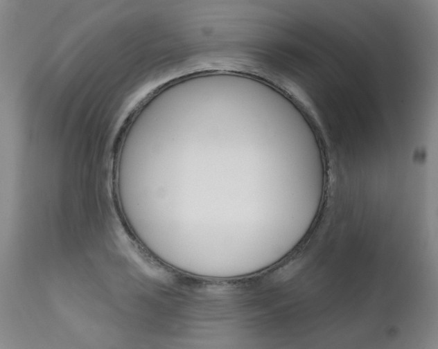 X0000111621035200907171059