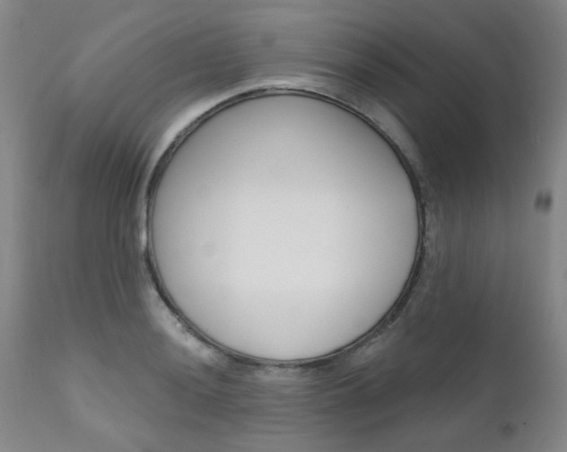 X0000111621036200907171059