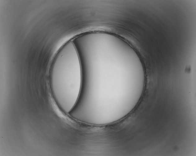 X0000111621038200907171059