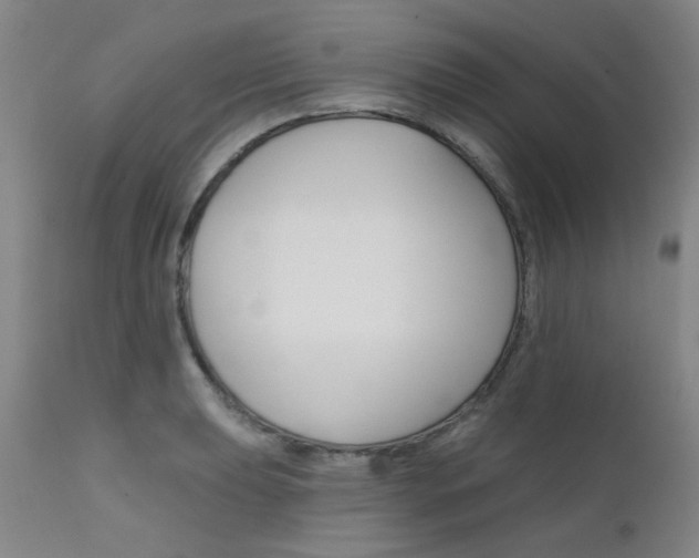 X0000111621039200907171059