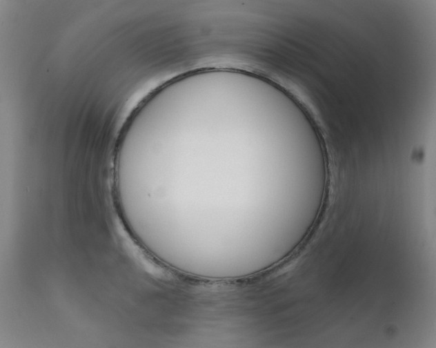 X0000111621040200907171059