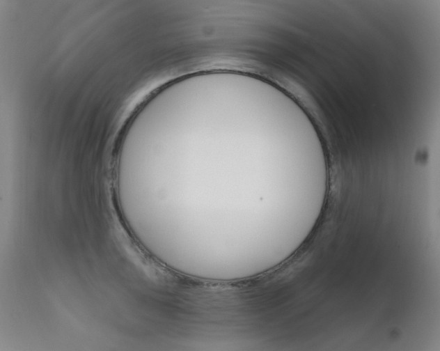 X0000111621043200907171100
