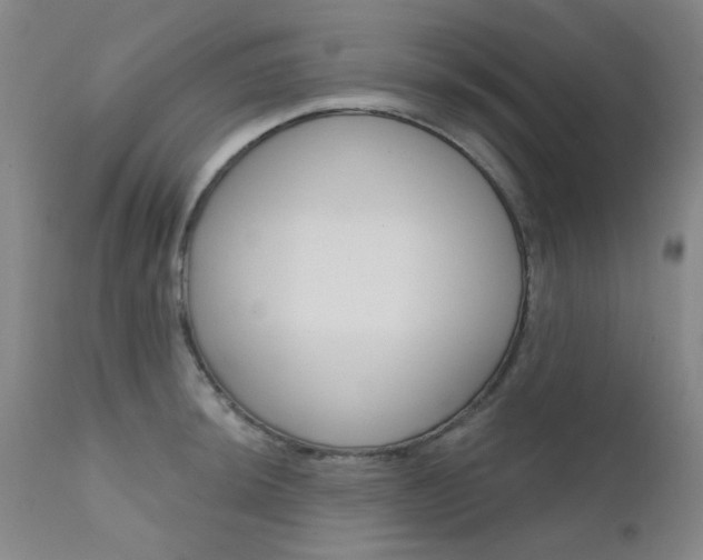 X0000111621044200907171100